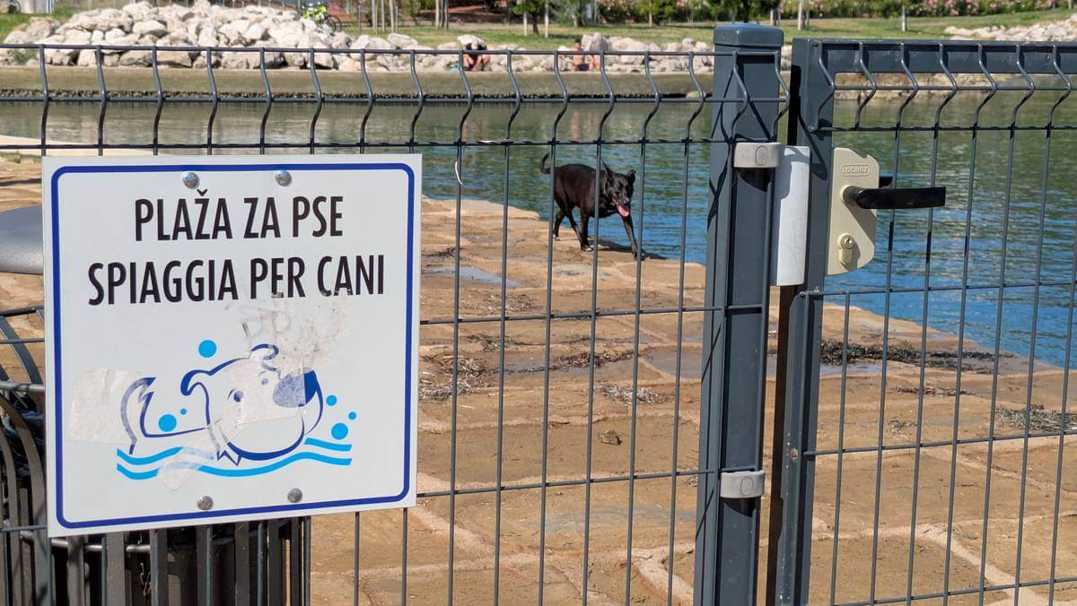 Plaža za pse v Kopru – vhod in vrata – črn pes