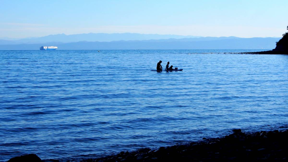 Plaža Moon Bay – Julijsko jutro leta 2026 – par in pes na SUP-u